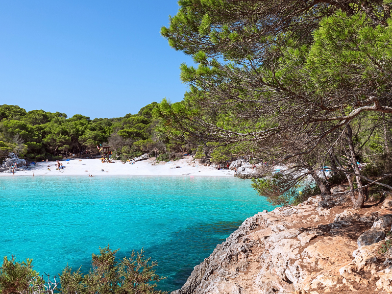 springbeach