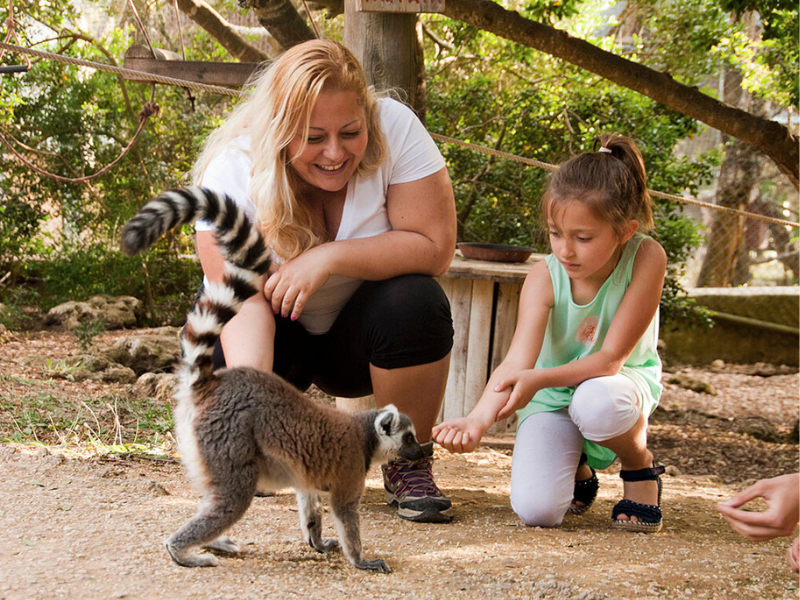 Las mejores cosas que hacer en Menorca en 2026: Visitar el zoológico